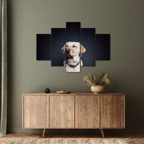 Slika labradora (150x105 cm)