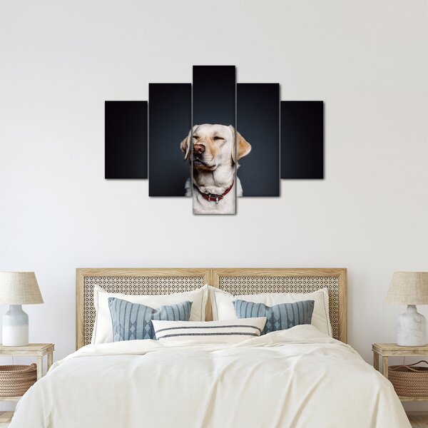 Slika labradora (150x105 cm)