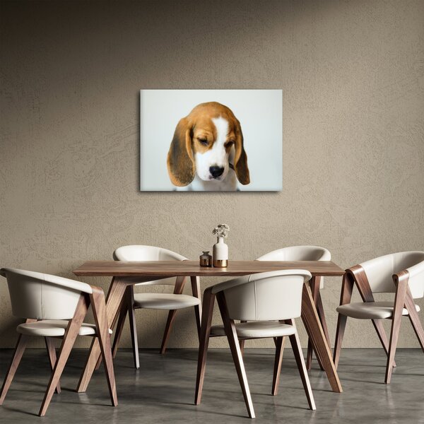Slika Bigla (70x50 cm)