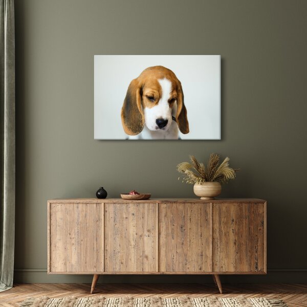 Slika Bigla (90x60 cm)