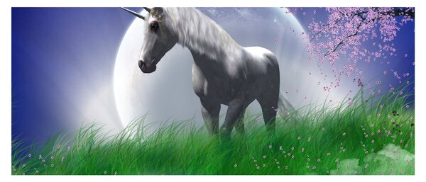 Slika jednoroga (120x50 cm)