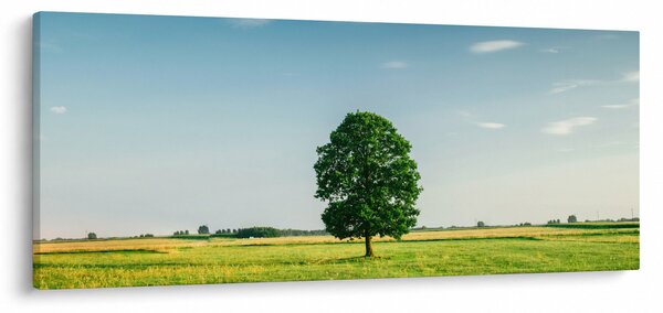 Slika drveta na livadi (120x50 cm)