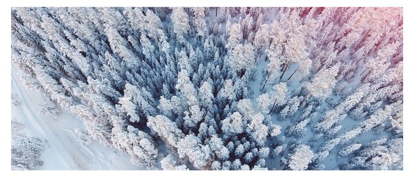 Slika snježnih stabala (120x50 cm)
