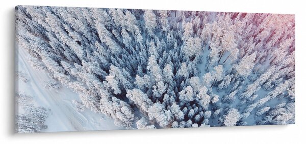 Slika snježnih stabala (120x50 cm)
