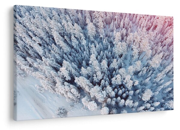 Slika snježnih stabala (90x60 cm)