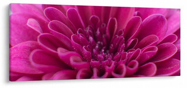 Slika cvijeta (120x50 cm)
