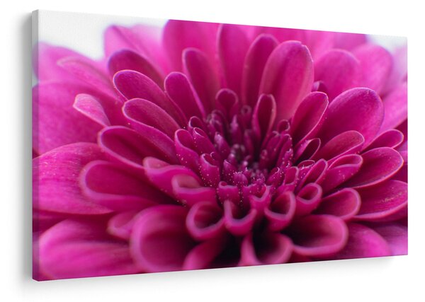 Slika cvijeta (90x60 cm)
