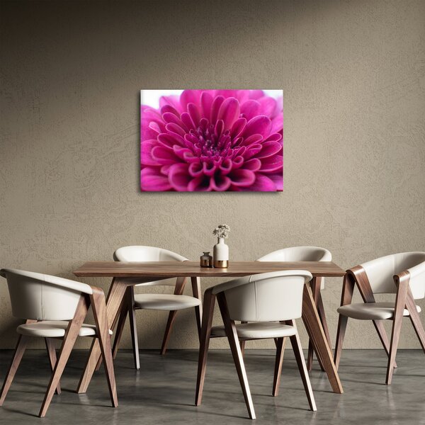 Slika cvijeta (70x50 cm)