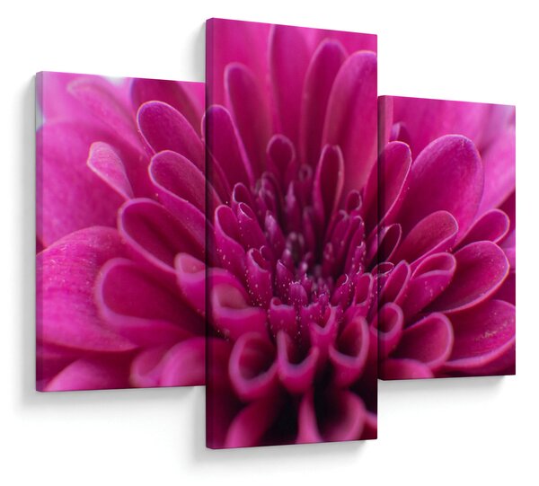 Slika cvijeta (90x60 cm)