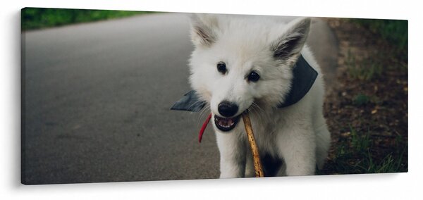 Slika bijelog psa (120x50 cm)