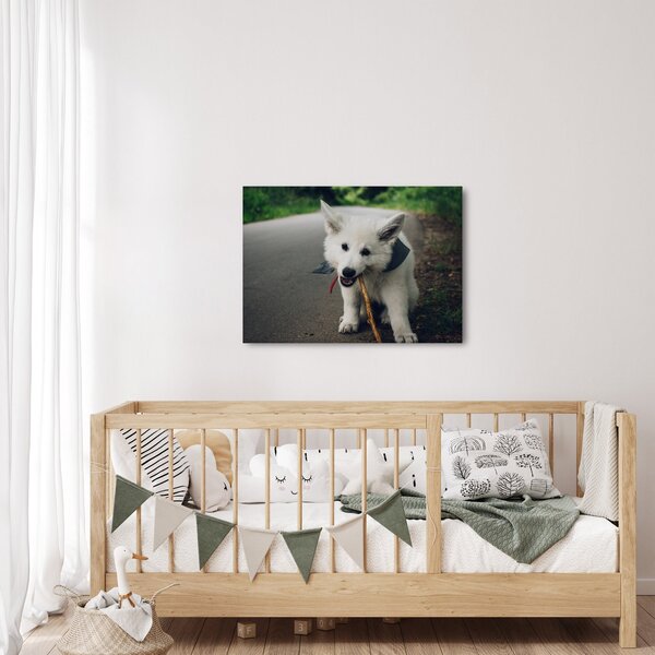 Slika bijelog psa (70x50 cm)