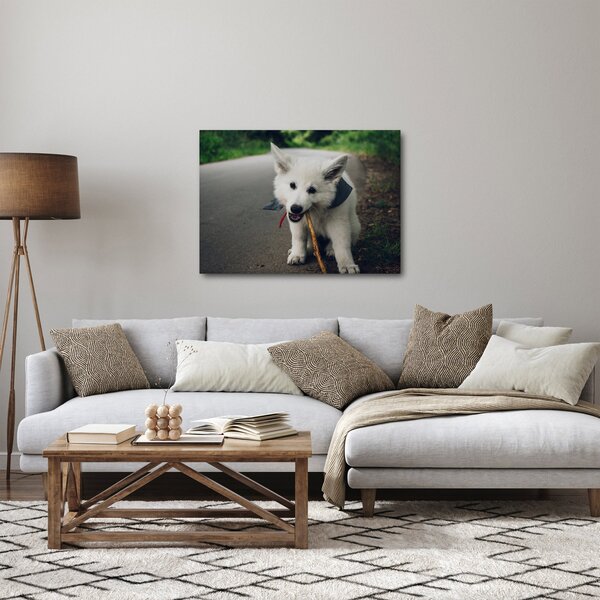 Slika bijelog psa (70x50 cm)