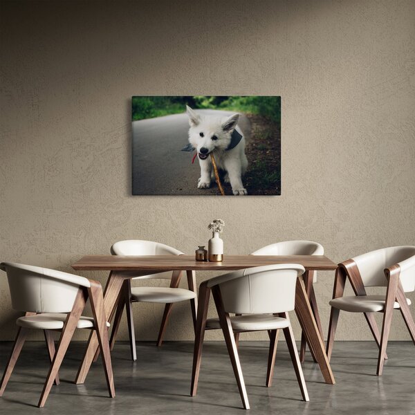 Slika bijelog psa (90x60 cm)