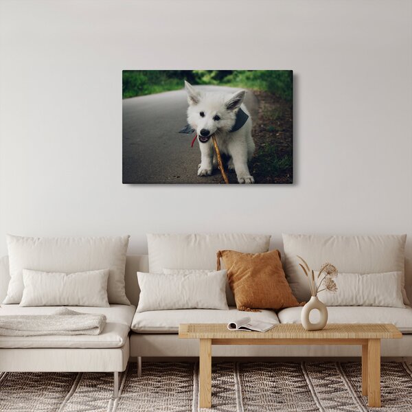 Slika bijelog psa (90x60 cm)