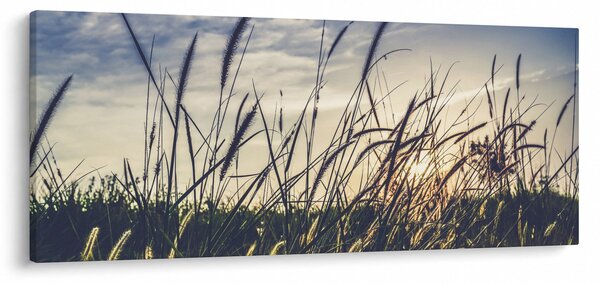 Slika livadskog cvijeća (120x50 cm)