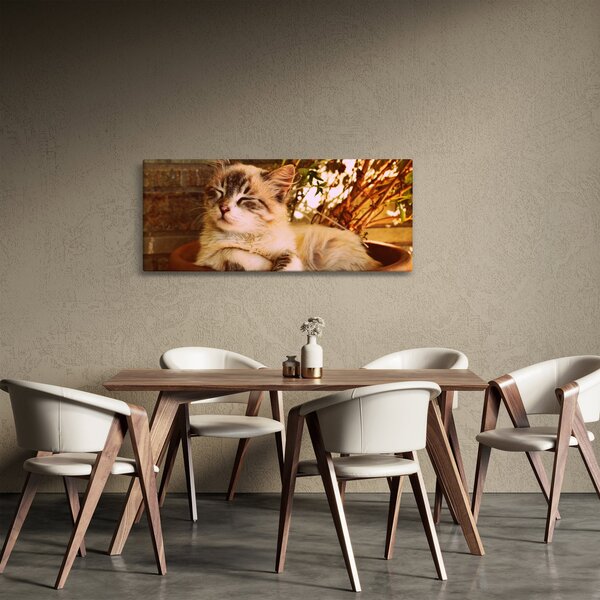 Slika mačke u loncu (120x50 cm)