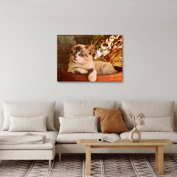 Slika mačke u loncu (70x50 cm)