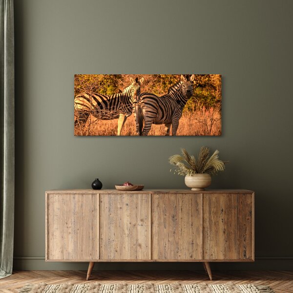 Slika zebri (120x50 cm)