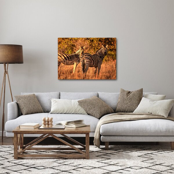 Slika zebri (70x50 cm)