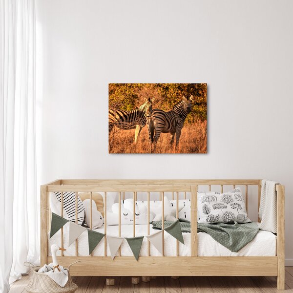 Slika zebri (70x50 cm)