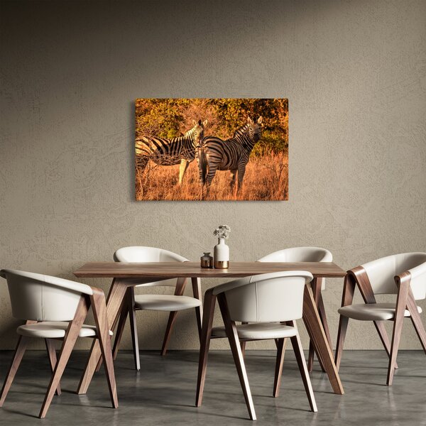 Slika zebri (90x60 cm)