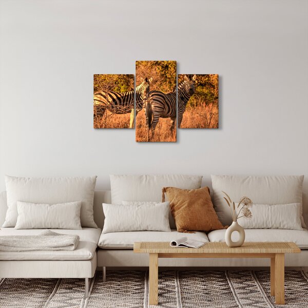 Slika zebri (90x60 cm)