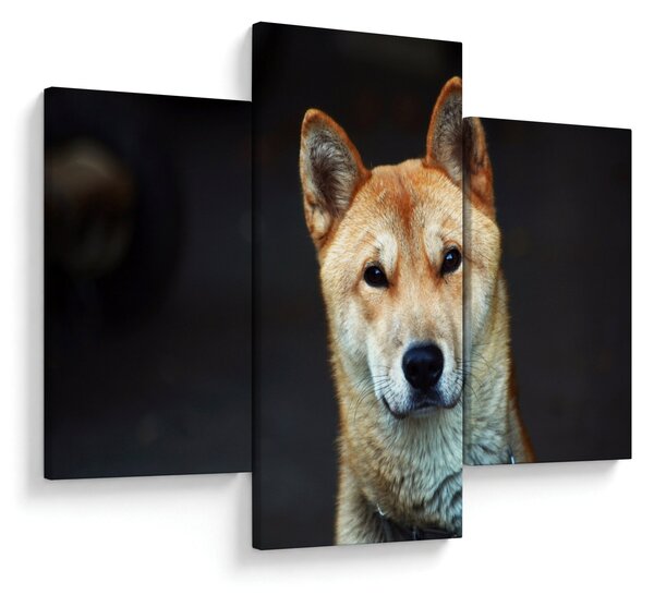 Slika psa (90x60 cm)
