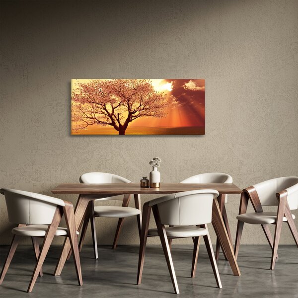 Slika zraka Božjih (120x50 cm)
