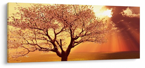 Slika zraka Božjih (120x50 cm)