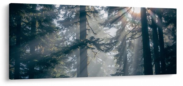 Slika drveća sa sunčevim zracima (120x50 cm)