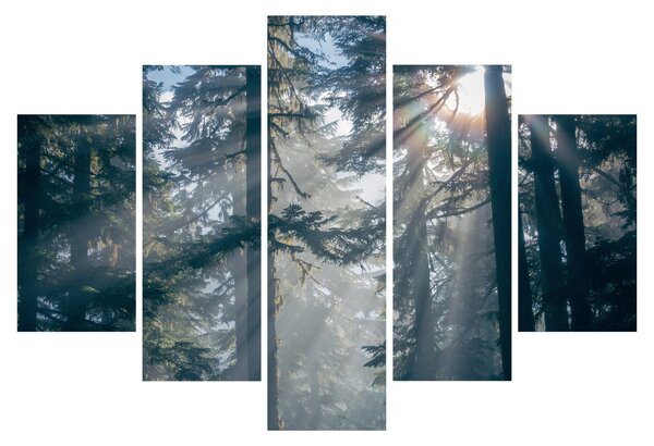 Slika drveća sa sunčevim zracima (150x105 cm)
