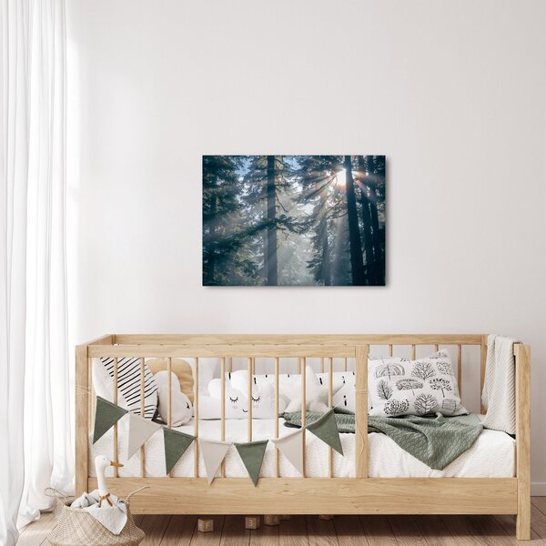 Slika drveća sa sunčevim zracima (70x50 cm)