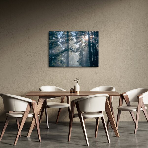 Slika drveća sa sunčevim zracima (70x50 cm)