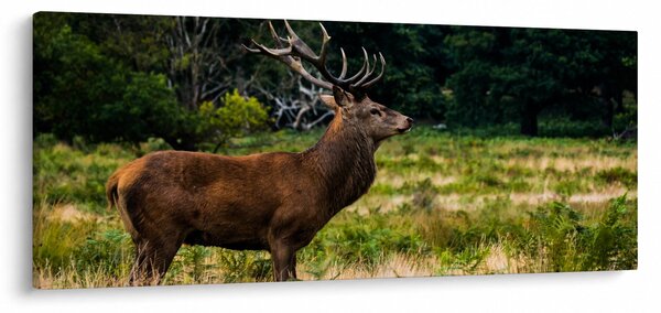 Slika jelena (120x50 cm)