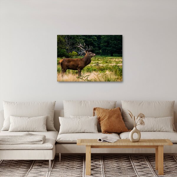 Slika jelena (70x50 cm)