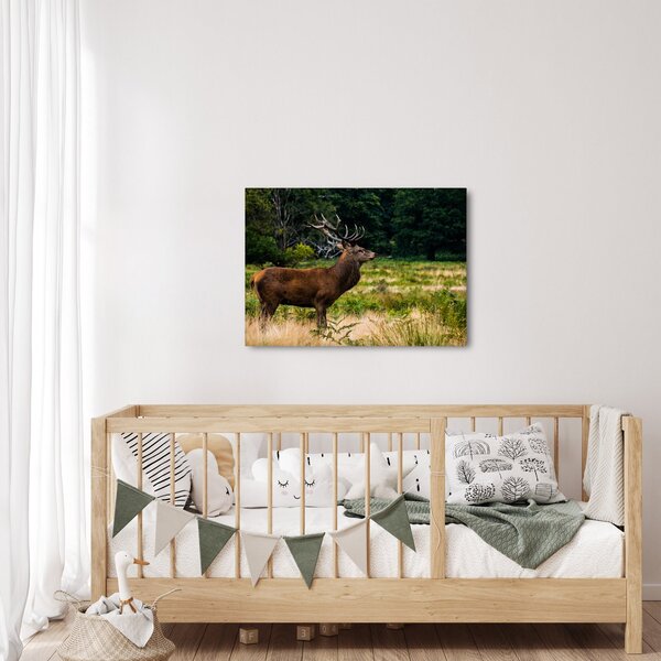 Slika jelena (70x50 cm)