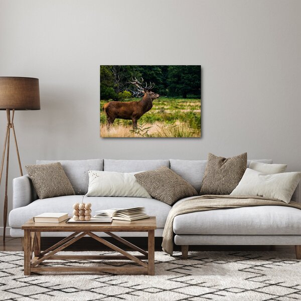 Slika jelena (70x50 cm)