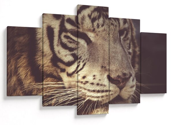 Slika tigra (150x105 cm)