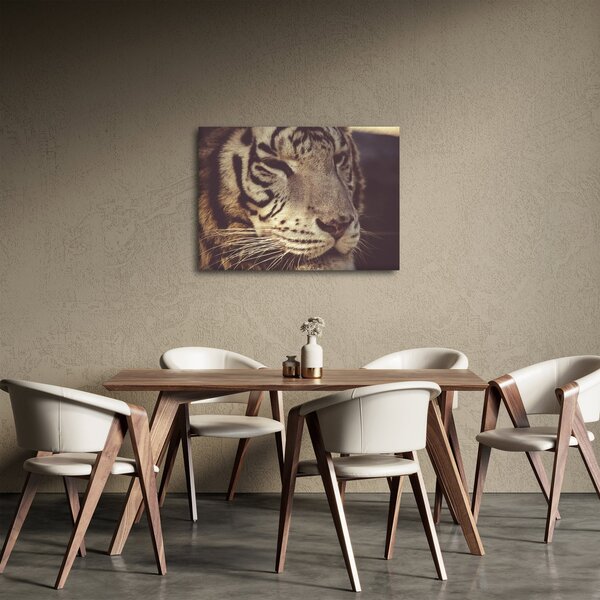 Slika tigra (70x50 cm)