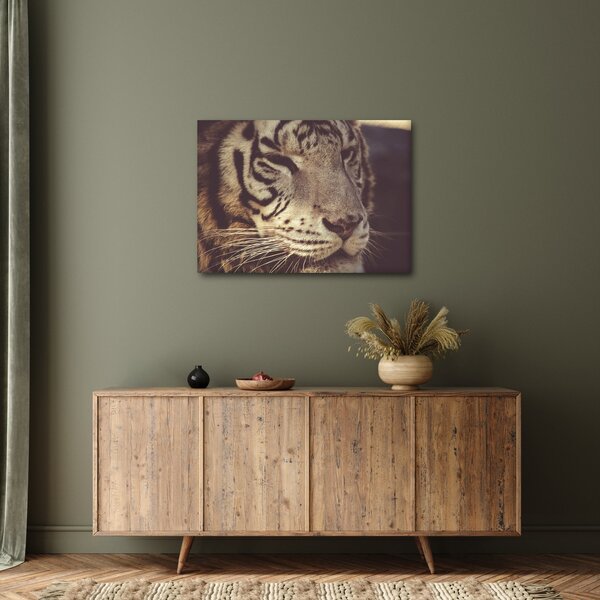 Slika tigra (70x50 cm)