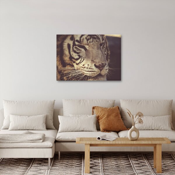 Slika tigra (70x50 cm)