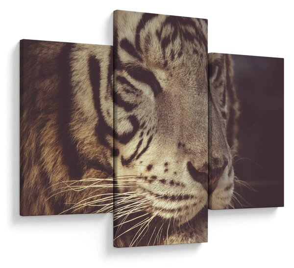 Slika tigra (90x60 cm)