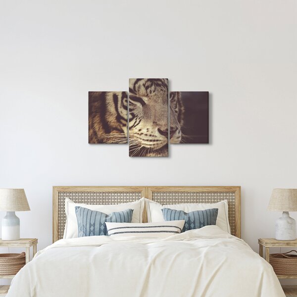 Slika tigra (90x60 cm)