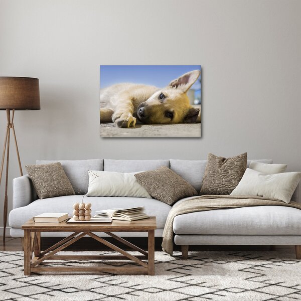 Slika ležećeg psića (70x50 cm)