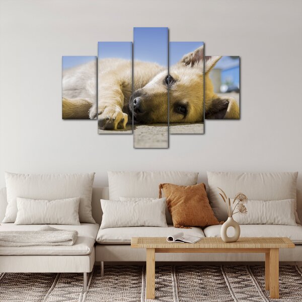 Slika ležećeg psića (150x105 cm)