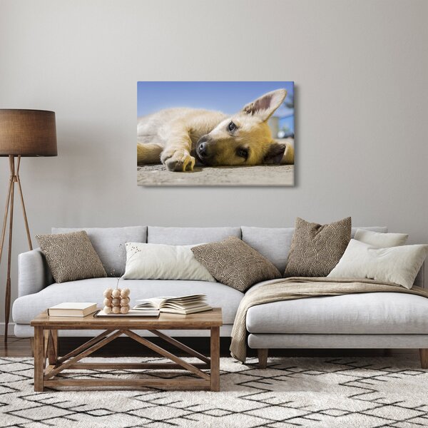 Slika ležećeg psića (90x60 cm)