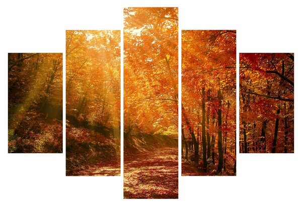 Slika jesenske šume (150x105 cm)