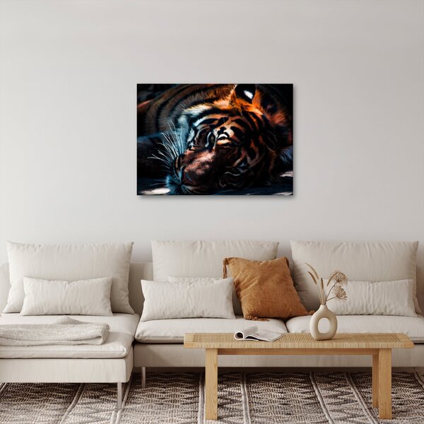 Slika ležećeg tigra (70x50 cm)