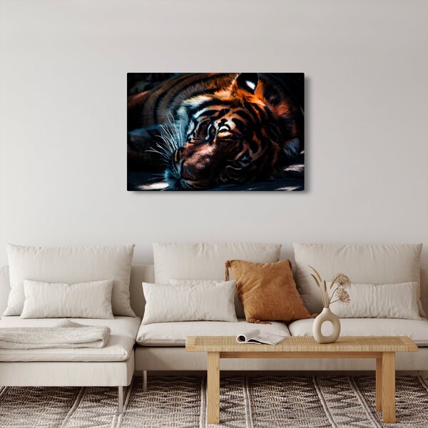 Slika ležećeg tigra (90x60 cm)
