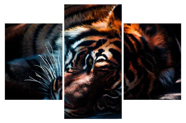 Slika ležećeg tigra (90x60 cm)